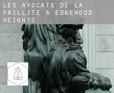 Les avocats de la faillite à  Edgewood Heights