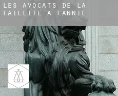 Les avocats de la faillite à  Fannie
