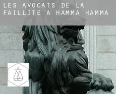 Les avocats de la faillite à Hamma Hamma