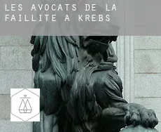 Les avocats de la faillite à  Krebs