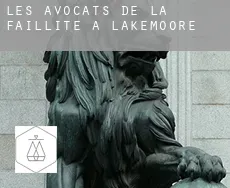 Les avocats de la faillite à  Lakemoore