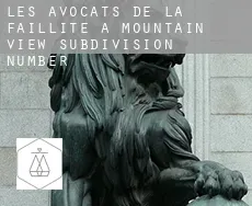 Les avocats de la faillite à  Mountain View Subdivision Number 13