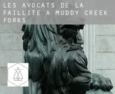 Les avocats de la faillite à  Muddy Creek Forks