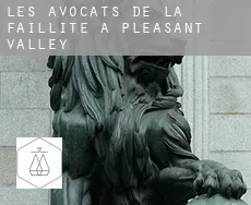 Les avocats de la faillite à Pleasant Valley