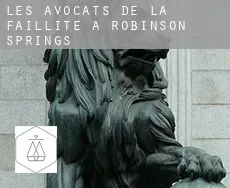 Les avocats de la faillite à  Robinson Springs