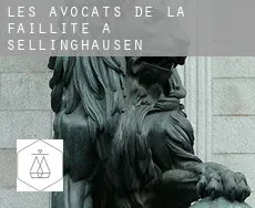 Les avocats de la faillite à  Sellinghausen