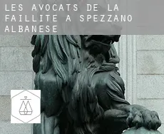 Les avocats de la faillite à Spezzano Albanese