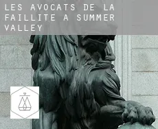 Les avocats de la faillite à  Summer Valley