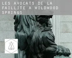 Les avocats de la faillite à  Wildwood Springs