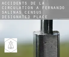 Accidents de la circulation à  Fernando Salinas