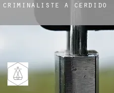 Criminaliste à  Cerdido