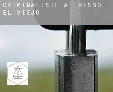 Criminaliste à  Fresno El Viejo