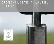 Criminaliste à  Laurel Hollow