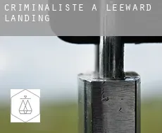 Criminaliste à  Leeward Landing