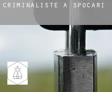 Criminaliste à Spocari