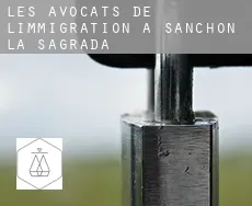 Les avocats de l'immigration à Sanchón de la Sagrada