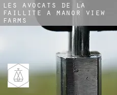 Les avocats de la faillite à  Manor View Farms