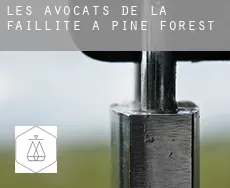 Les avocats de la faillite à  Pine Forest