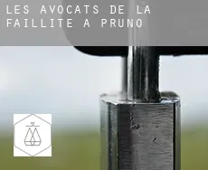 Les avocats de la faillite à  Pruno
