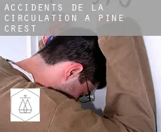 Accidents de la circulation à  Pine Crest