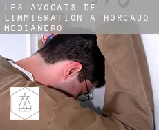 Les avocats de l'immigration à  Horcajo Medianero