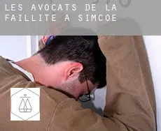 Les avocats de la faillite à  Simcoe