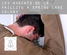 Les avocats de la faillite à  Spring Lake Colony