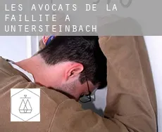 Les avocats de la faillite à  Untersteinbach
