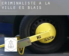 Criminaliste à  La Ville-ès-Blais