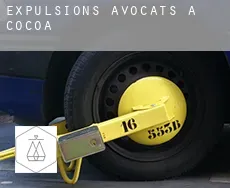 Expulsions avocats à Cocoa