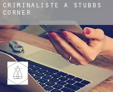 Criminaliste à Stubbs Corner