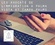 Les avocats de l'immigration à  Palma Vista at Tampa Palms