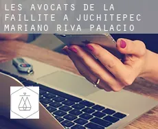 Les avocats de la faillite à  Juchitepec de Mariano Riva Palacio