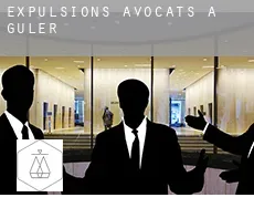 Expulsions avocats à  Guler
