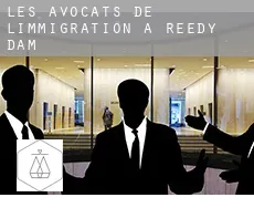 Les avocats de l'immigration à  Reedy Dam