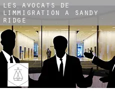 Les avocats de l'immigration à  Sandy Ridge
