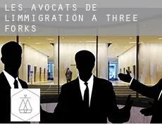 Les avocats de l'immigration à  Three Forks