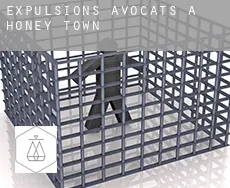Expulsions avocats à Honey Town