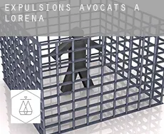 Expulsions avocats à Lorena