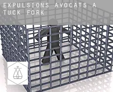 Expulsions avocats à  Tuck Fork