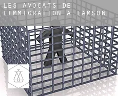 Les avocats de l'immigration à  Lamson
