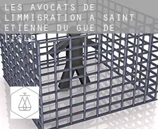Les avocats de l'immigration à  Saint-Étienne-du-Gué-de-l'Isle