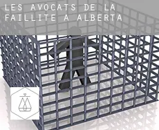 Les avocats de la faillite à  Alberta