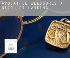 Avocat de blessures à  Nicollet Landing