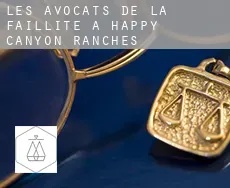Les avocats de la faillite à  Happy Canyon Ranches