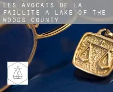 Les avocats de la faillite à  Lake of the Woods