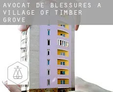 Avocat de blessures à  Village of Timber Grove