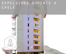 Expulsions avocats à  Cagle