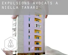 Expulsions avocats à  Niella Tanaro