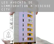 Les avocats de l'immigration à  Viscose City